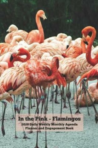 Cover of In the Pink Flamingos 2020 Daily Weekly Monthly Agenda Planner and Engagement Book