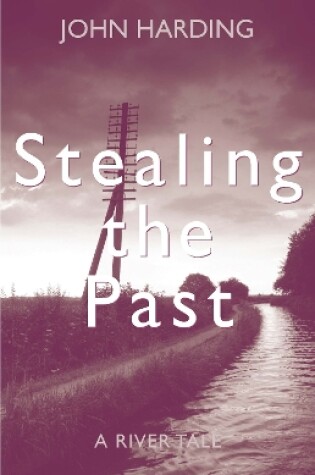Cover of Stealing the Past