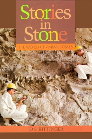 Cover of Stories in Stone