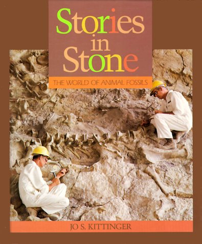 Book cover for Stories in Stone