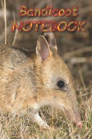 Cover of Bandicoot NOTEBOOK