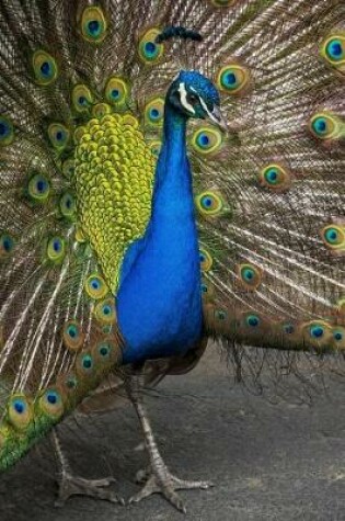 Cover of A Peacock Strutting His Stuff Journal