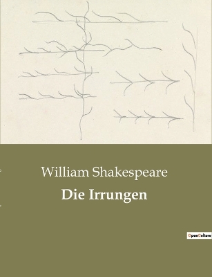Book cover for Die Irrungen