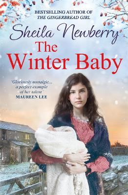 Book cover for The Winter Baby
