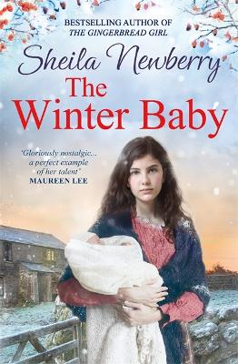 Book cover for The Winter Baby