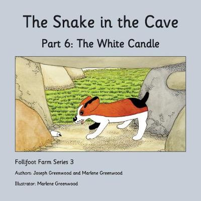 Cover of The White Candle