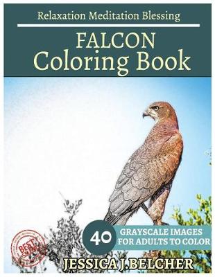 Book cover for Falcon Coloring Book for Adults Relaxation Meditation Blessing