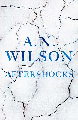 Book cover for Aftershocks