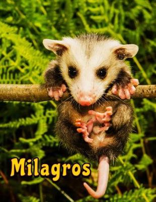 Book cover for Milagros