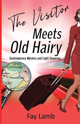 Book cover for The Visitor Meets Old Hairy