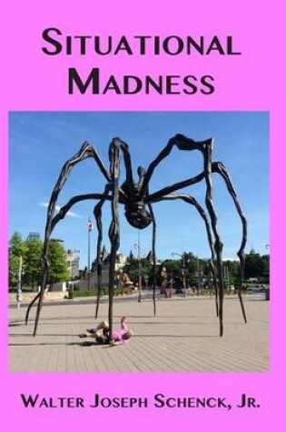 Cover of Situational Madness