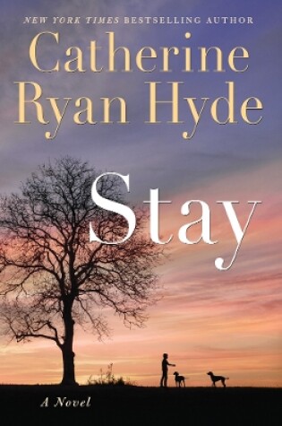 Cover of Stay