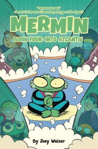 Cover of Mermin Book Four