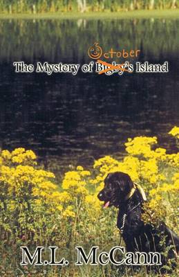 Cover of The Mystery of October Island