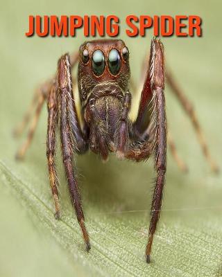 Book cover for Jumping Spider