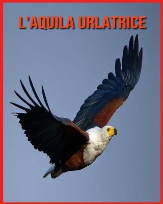 Book cover for L'aquila Urlatrice