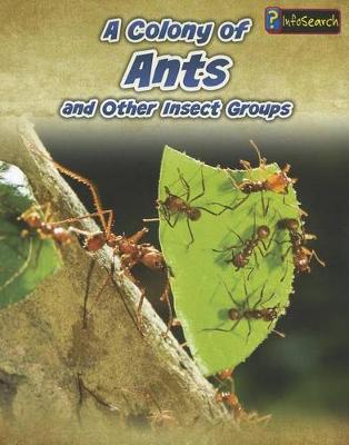 Book cover for A Colony of Ants: and Other Insect Groups (Animals in Groups)