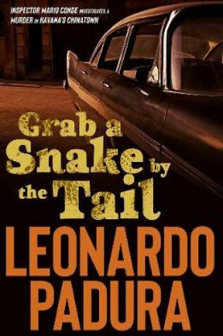 Cover of Grab a Snake by the Tail