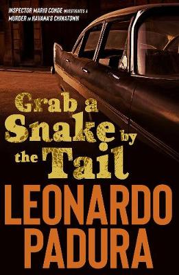Book cover for Grab a Snake by the Tail