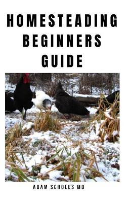 Book cover for Homesteading Beginners Guide