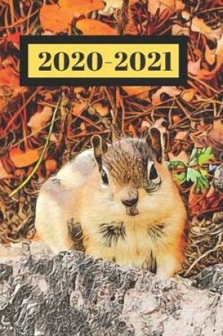 Cover of Autumn Brown Chipmunk Squirrel Dated Calendar Planner 2 years To-Do Lists, Tasks, Notes Appointments
