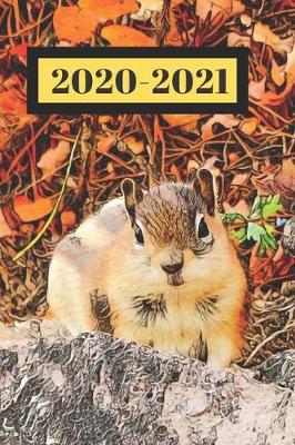 Book cover for Autumn Brown Chipmunk Squirrel Dated Calendar Planner 2 years To-Do Lists, Tasks, Notes Appointments