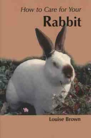 Cover of How to Care for Your Rabbit