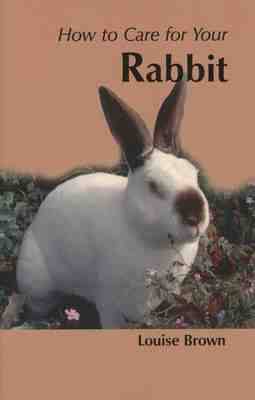 Cover of How to Care for Your Rabbit