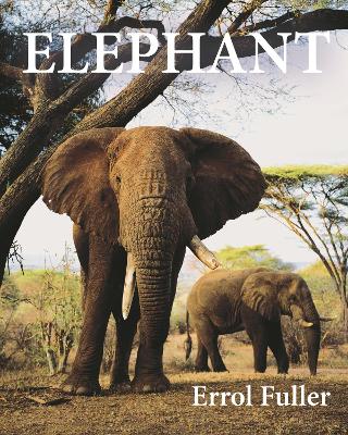 Book cover for Elephant