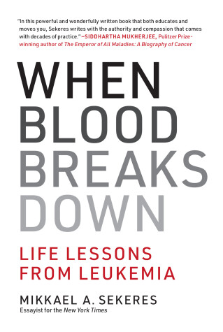 Book cover for When Blood Breaks Down