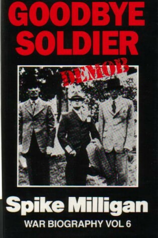 Cover of Goodbye Soldier