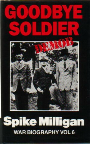 Book cover for Goodbye Soldier