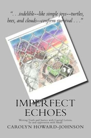 Cover of Imperfect Echoes