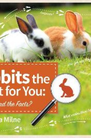 Cover of Are Rabbits the Right Pet for You: Can You Find the Facts?