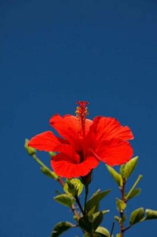 Cover of Red Hibiscus in the Sky (for the Love of Flowers)