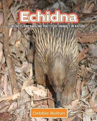 Book cover for Echidna