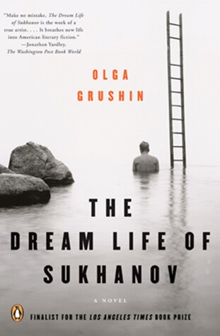 Book cover for The Dream Life of Sukhanov