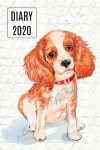 Book cover for 2020 Daily Diary Planner, Watercolor Spaniel