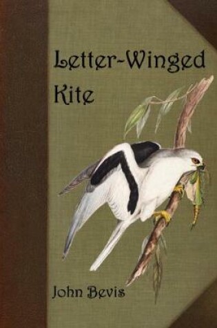 Cover of Letter-Winged Kite