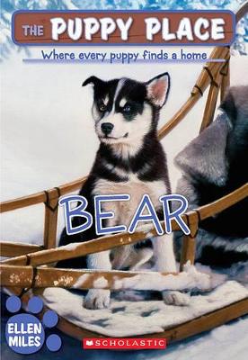 Cover of Bear