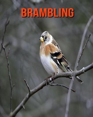 Book cover for Brambling