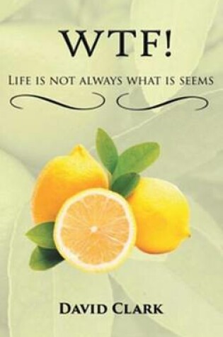 Cover of WTF! Life is Not Always What is Seems
