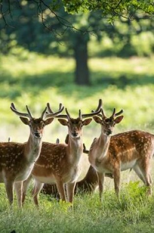 Cover of A Group of Young Fallow Deer Journal