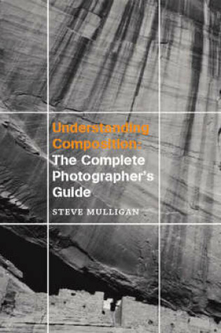 Cover of Understanding Composition