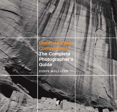 Book cover for Understanding Composition