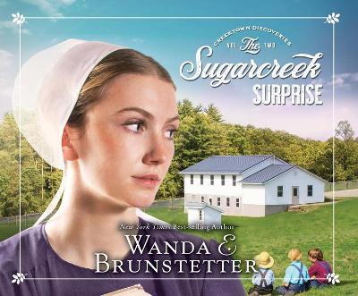Cover of Sugarcreek Surprise