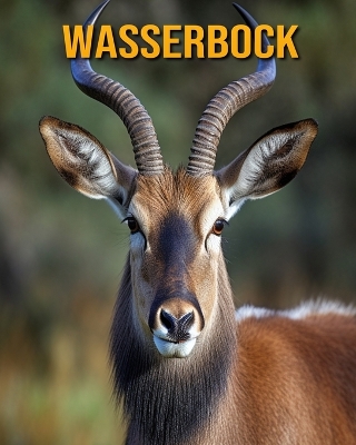 Book cover for Wasserbock