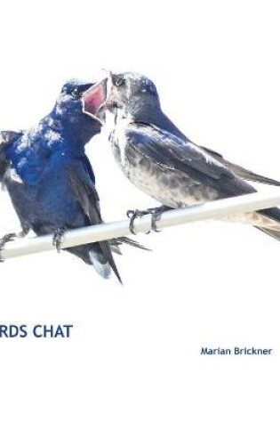 Cover of Birds Chat