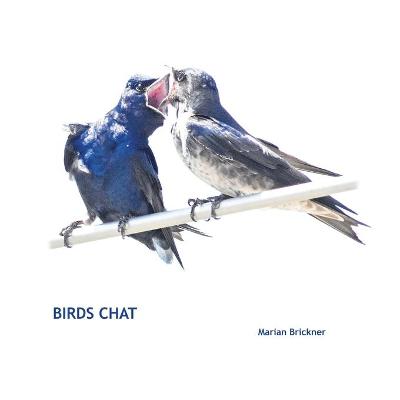 Book cover for Birds Chat