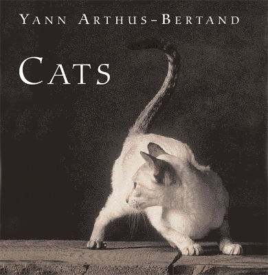 Book cover for Cats